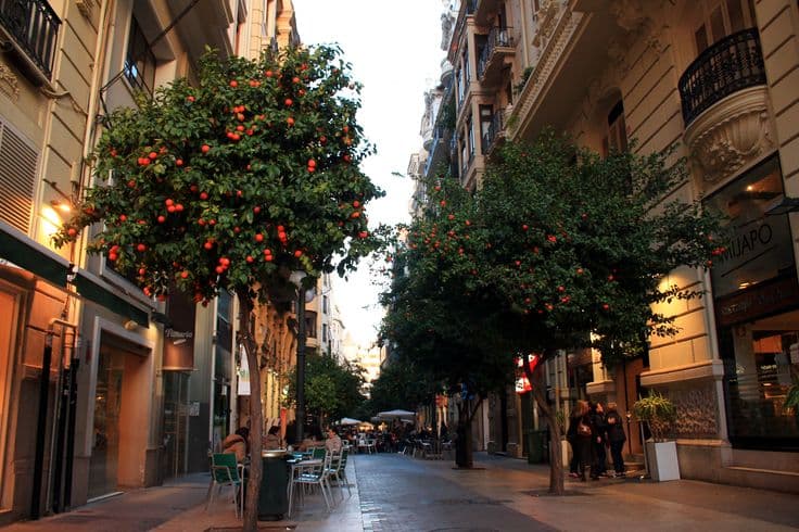 Bitter-orange trees lining a pedestrian shopping street at dusk, café tables spilling out and wrought-iron balconies overhead — a Spanish city easing into the evening.
