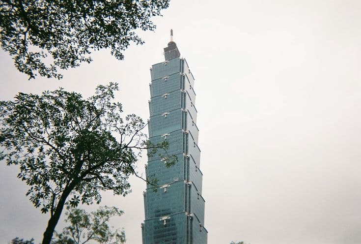 Taipei 101 rising into a soft grey sky, framed by tree branches in the foreground — the tapered bamboo-segment tower that defines the city skyline.