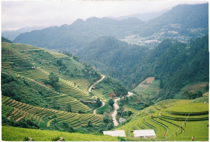 The terraced rice fields of Mù Cang Chải in the northern highlands — layer upon layer of green-and-gold paddies stepping down a valley, a dirt road snaking through, misty mountains behind.