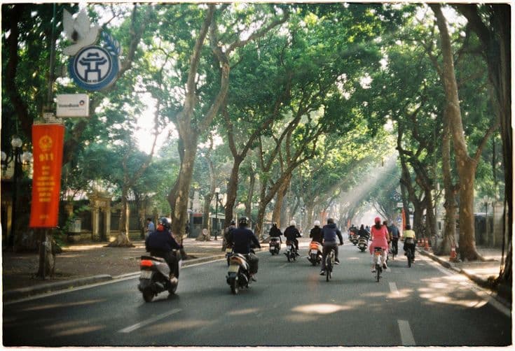 A tree-canopied Hanoi avenue in morning light — a stream of motorbikes and cyclists riding beneath the tunnel of old trees, sunbeams cutting through, a red Party banner on the left.