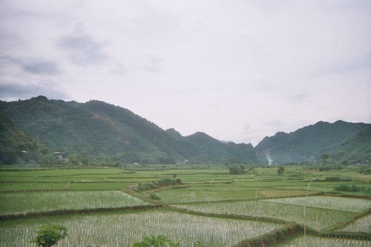 Flat emerald rice paddies stretching to a wall of jungle mountains in Mai Chau — young rice in flooded fields, a plume of smoke rising in the distance under a soft grey sky.