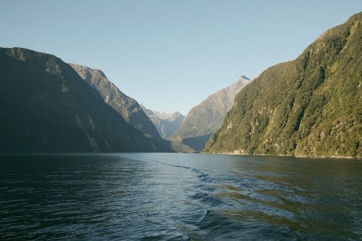 Milford Sound from a boat — sheer forested mountain walls dropping straight into the dark fiord, a snow-dusted peak framed in the gap ahead under a clear sky.