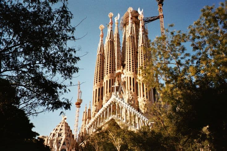 Gaudí's Sagrada Família rising through the trees of Barcelona in warm afternoon light — the honey-coloured spires and cranes against a clear blue sky.