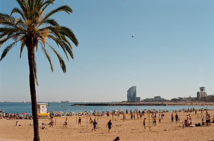 Barceloneta beach on a summer afternoon — a lone palm in the foreground, the sail-shaped W Hotel across the bay, beach volleyball and sunbathers packing the sand.